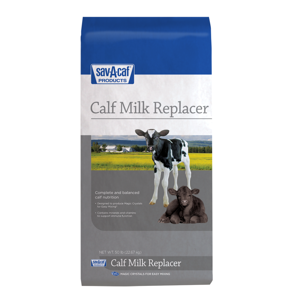 Calf milk for dogs shop