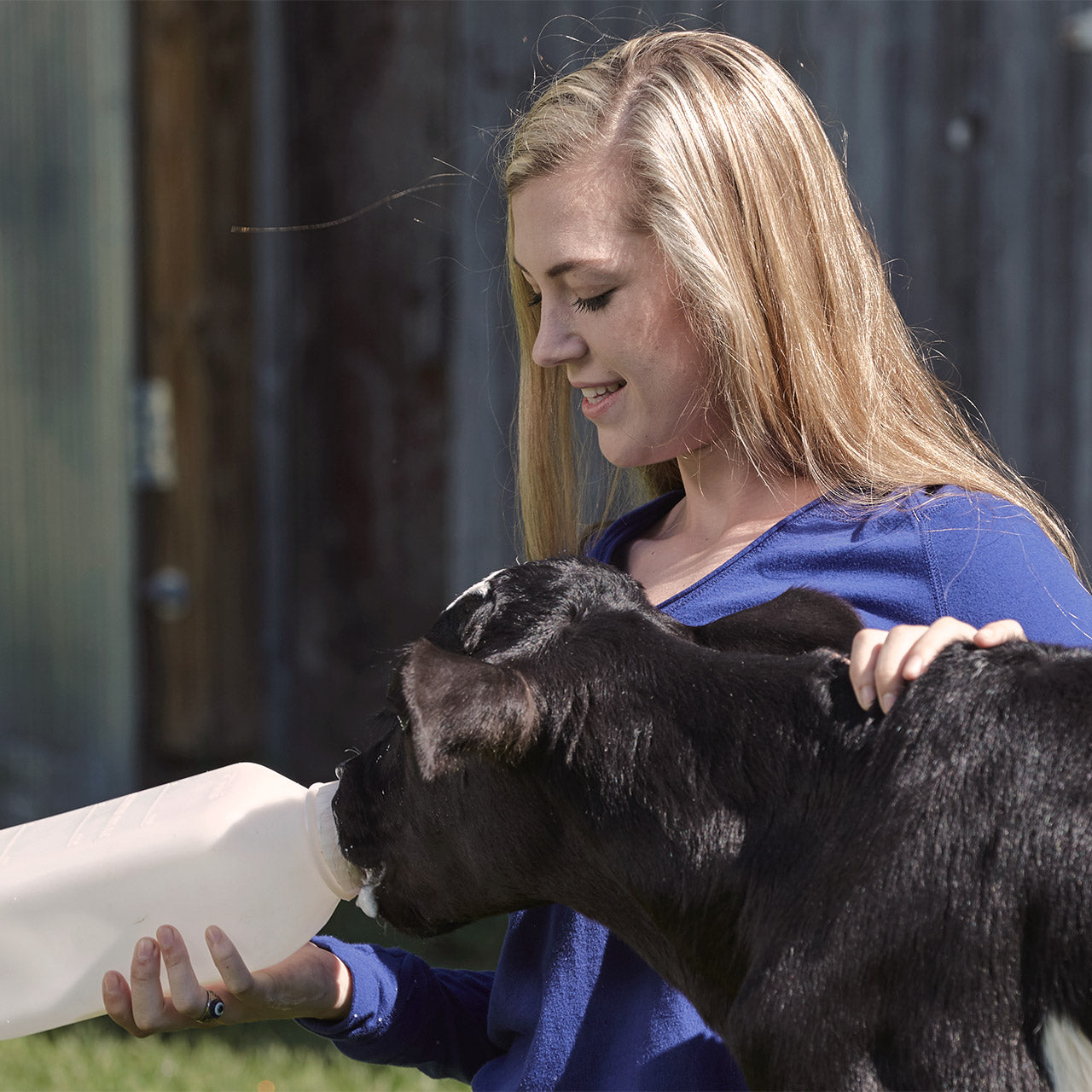 How to select the right milk supplements for your calves