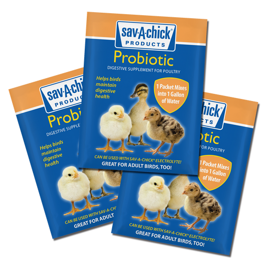 Sav-A-Chick® Probiotic Supplement