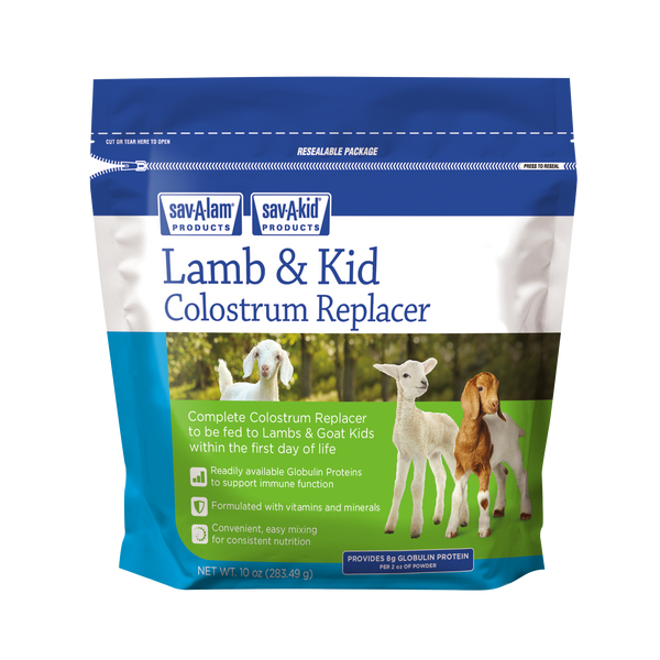 洋楽 Lamb and Mutton / mama!milk 洋楽 Lamb and Mutton / mama!milk Lamb and Mutton / mama!milk