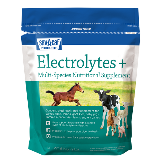Electrolytes Plus™ Supplement