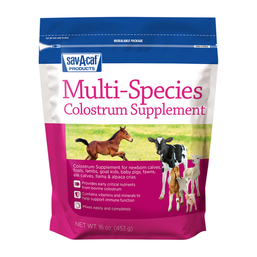 Multi-Species Colostrum Supplement