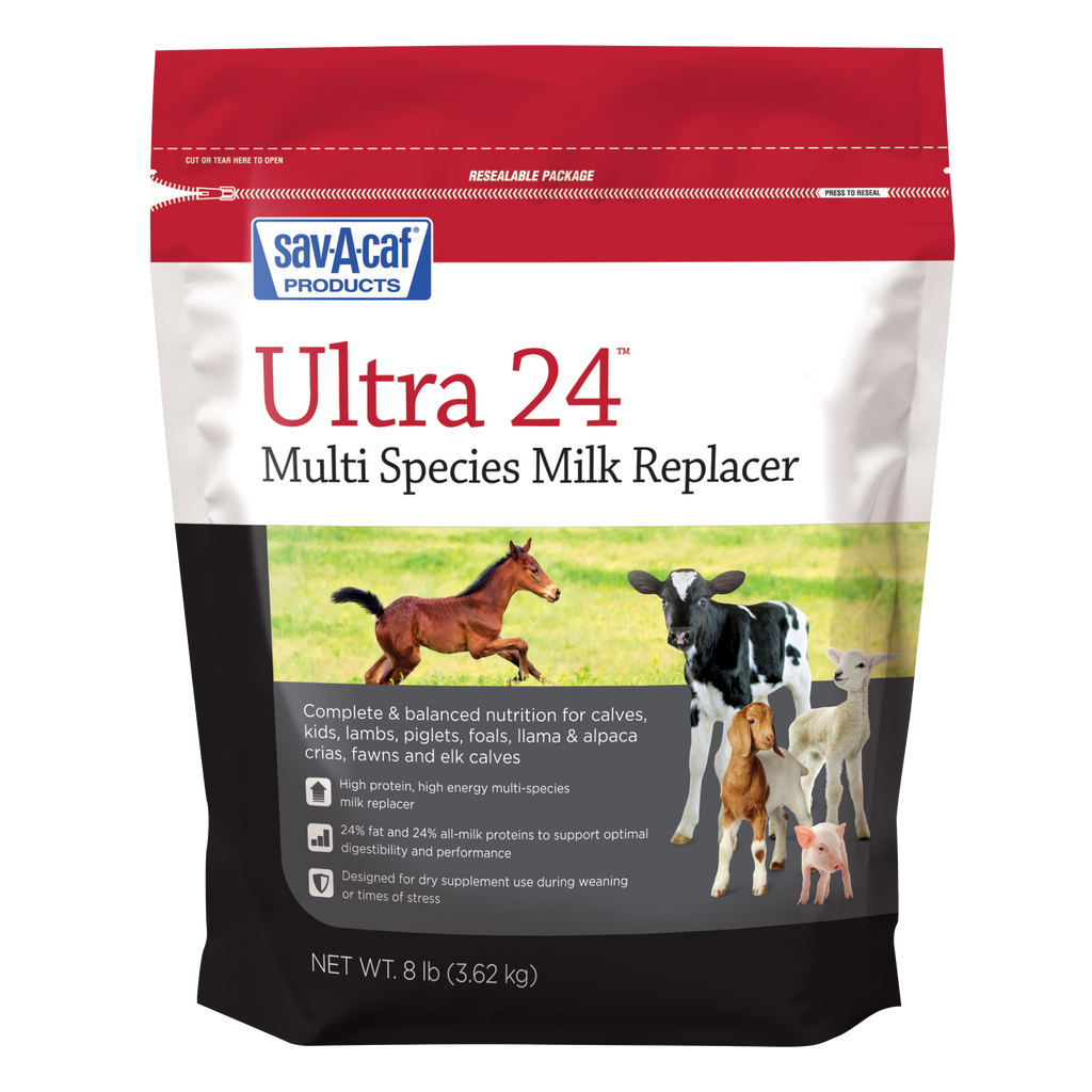 Tractor supply puppy milk new arrivals