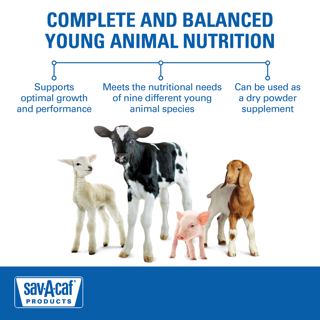 Ultra 24 milk replacer for deals puppies